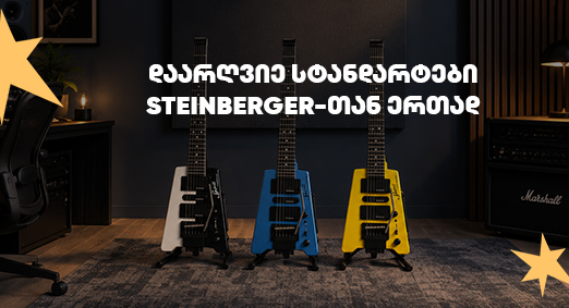 steinberger 